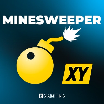                  Minesweeper XY               